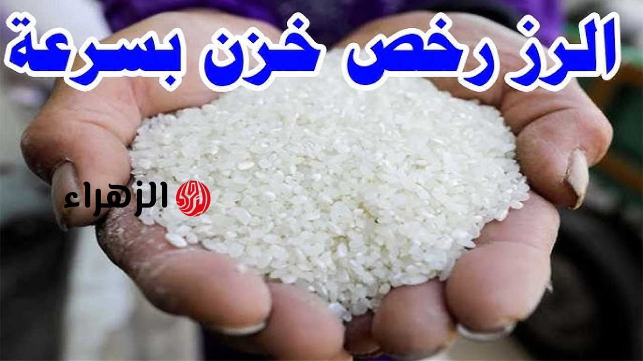 رفيع وعريض الحبة .. سعر طن الأرز الشعير اليوم الثلاثاء 19 مايو 2026 في الأسواق المصرية