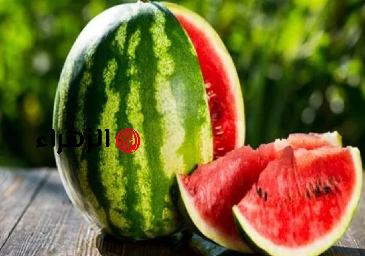 هل شرب الماء بعد البطيخ مباشرة يضر؟.. إليك ما يقوله الأطباء