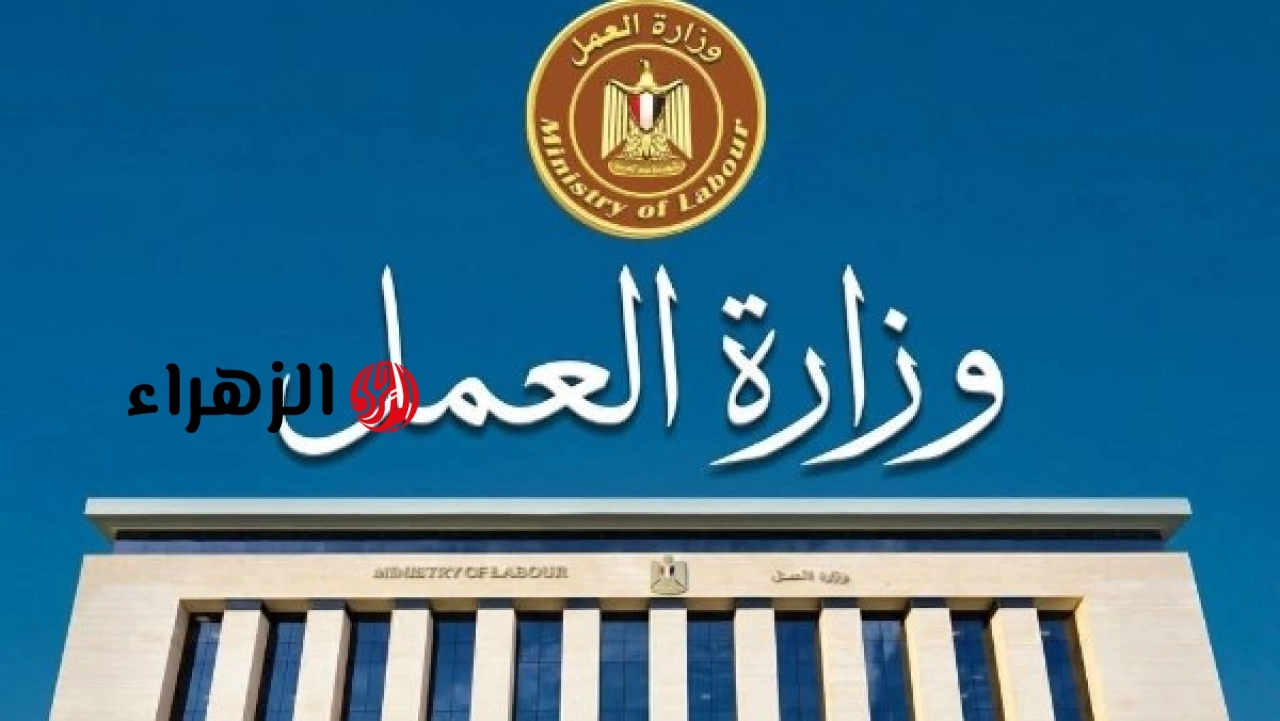 شركة صناعة سكك حديدية ببورسعيد تعلن توفير 185 فرصة عمل وتكشف رابط التقديم