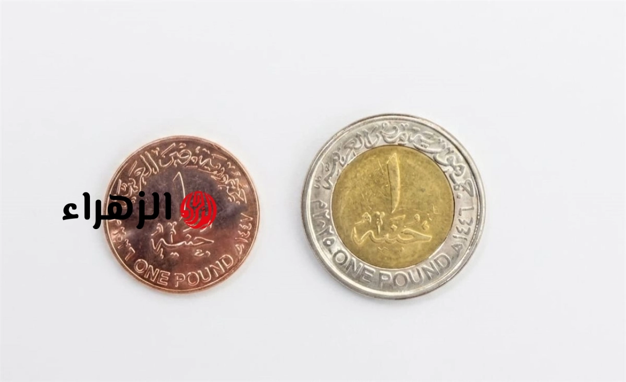 تعرف على شكل الجنيه المصري الجديد 2026.. وحقيقة إلغاء تداول القديم رسميًا
