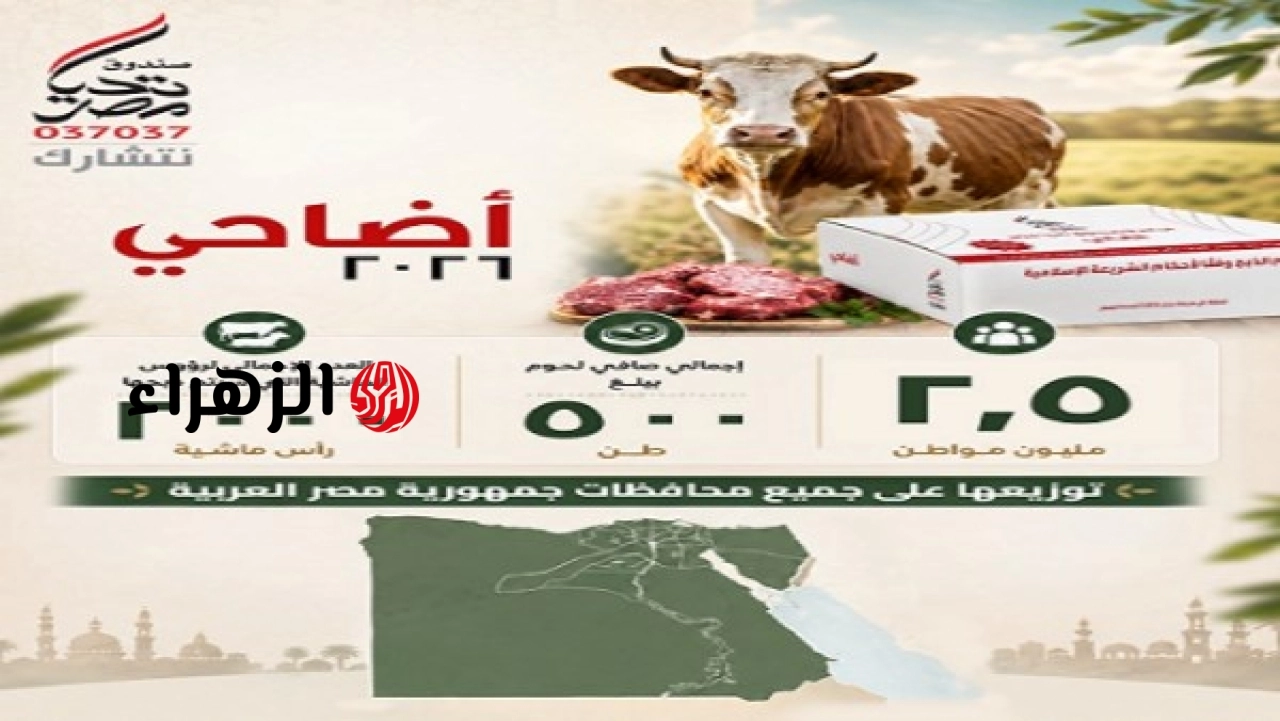 صندوق تحيا مصر يطلق مبادرة أضاحي للعام الثالث لدعم مليونين ونصف مواطن