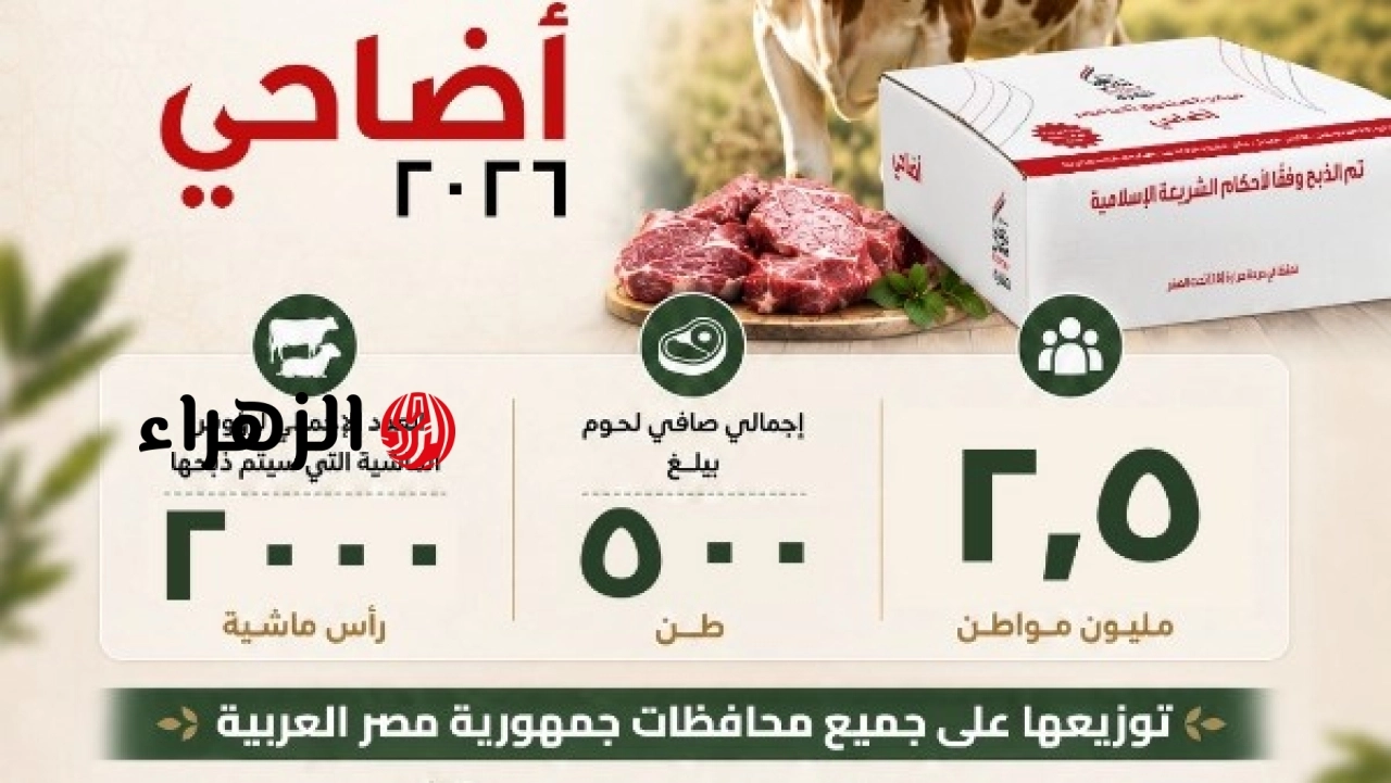 صندوق تحيا مصر يواصل تنفيذ مبادرة الأضاحي للعام الثالث لدعم مليونين ونصف مواطن