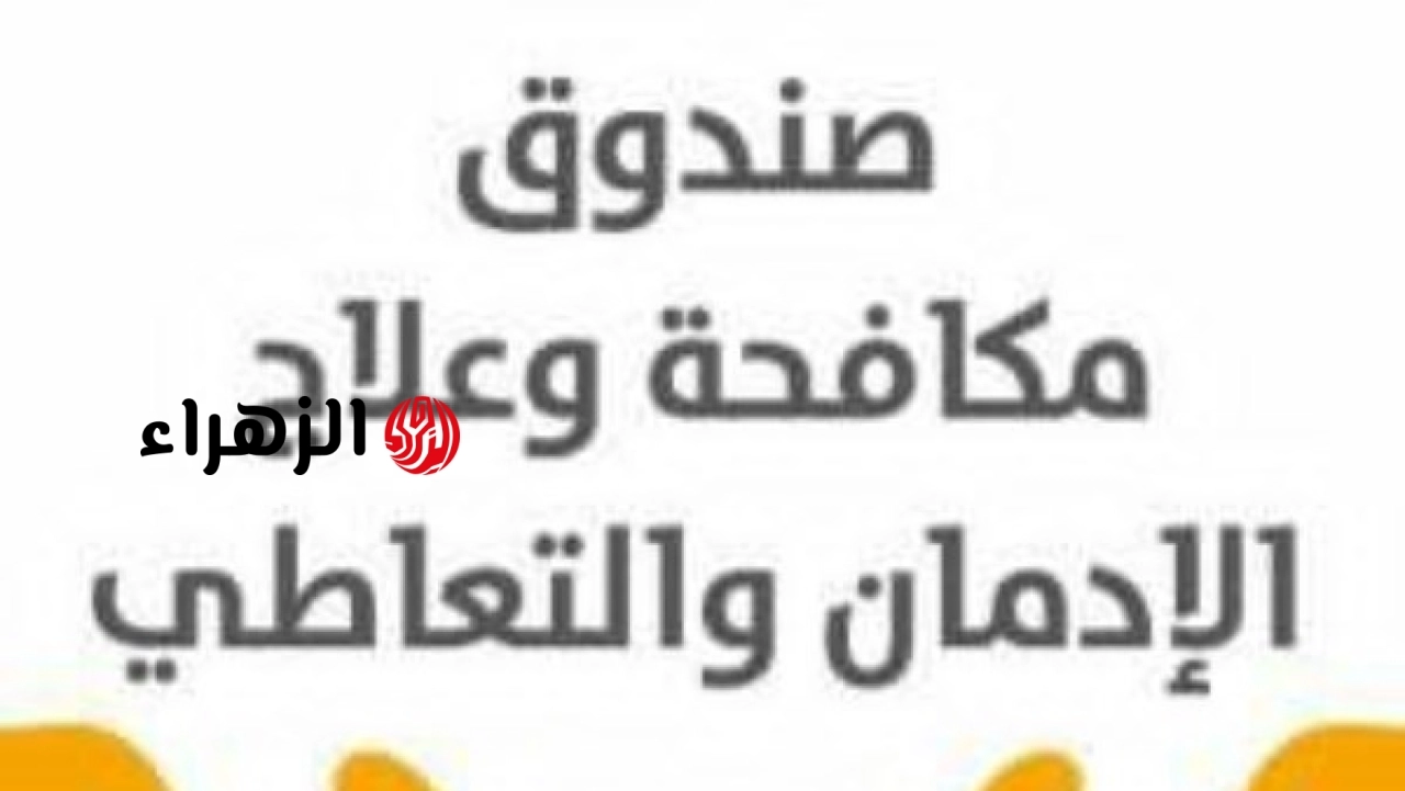 صندوق مكافحة الإدمان يعلن موقفه من تصريحات الحشيش غير مضر ويؤكد استمرار خططه للتوعية