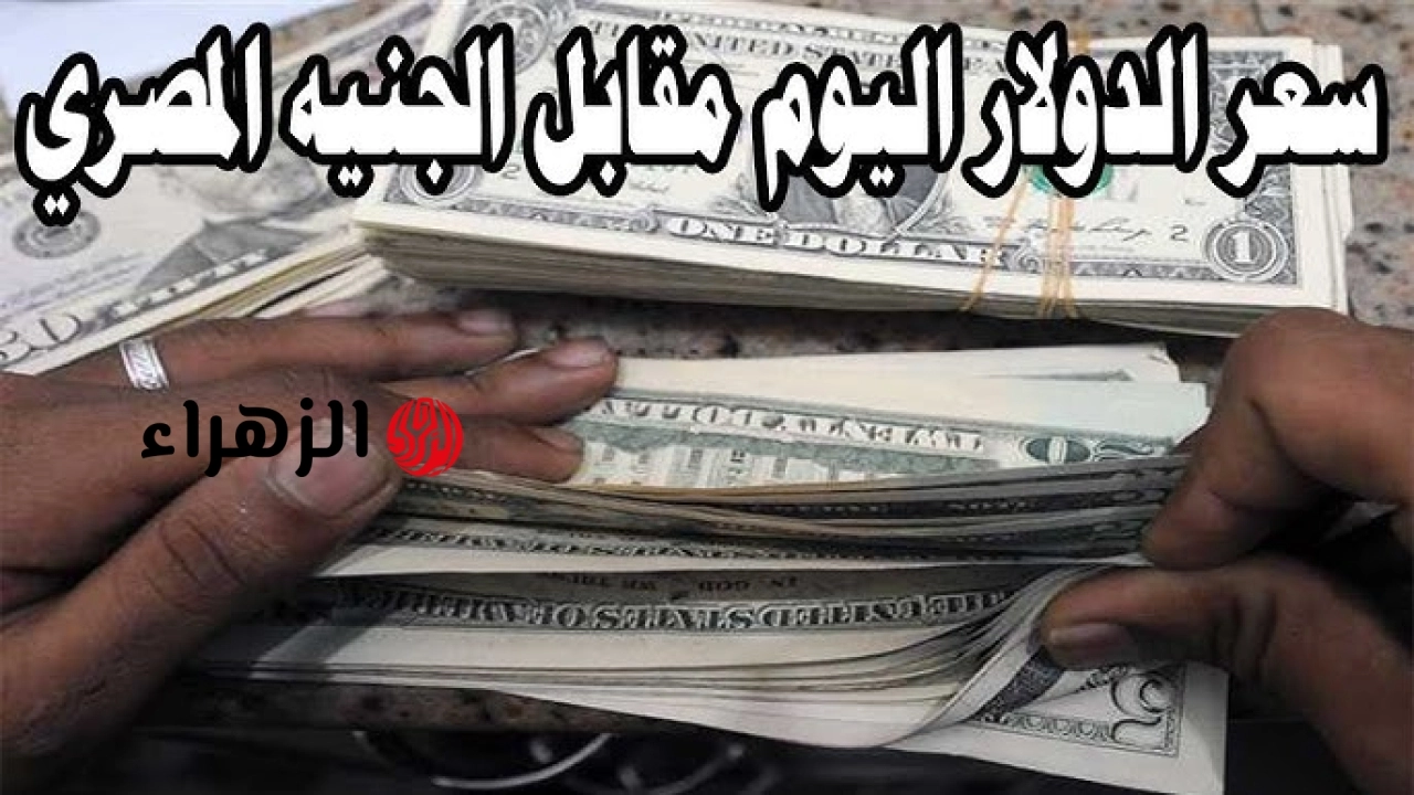 استقرار ملحوظ .. سعر الدولار اليوم في السوق السوداء والبنوك الثلاثاء 19 مايو 2026