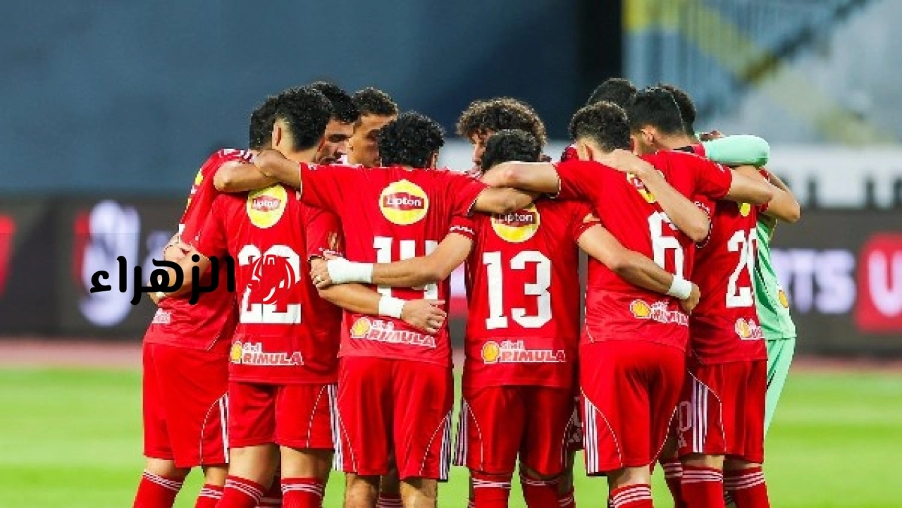 فرج عامر يورتشيتش عرض نفسه على الأهلي والإدارة رفضت ضمه
