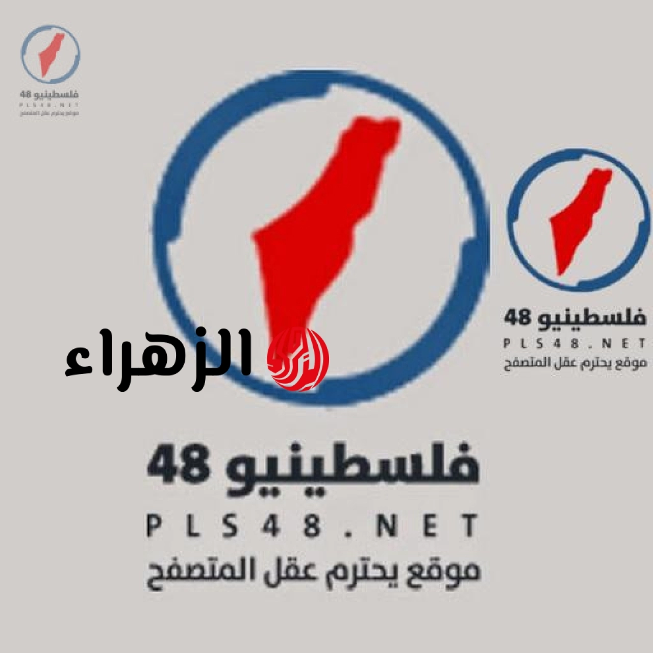 تحديثات أسعار السمك البلطي والجمبري في الأسواق الأحد 10 مايو 2026
