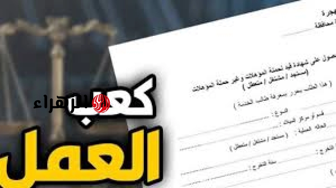 بعد الإعلان الرسمى.. كيف تستخرج كعب العمل إلكترونيا عبر منصة مصر الرقمية؟