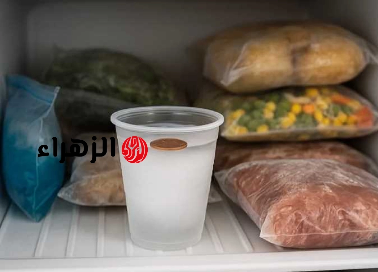 سر لا يعلمه الكثير.. لماذا نضع عملة معدنية في الفريزر قبل الذهاب للمصيف؟