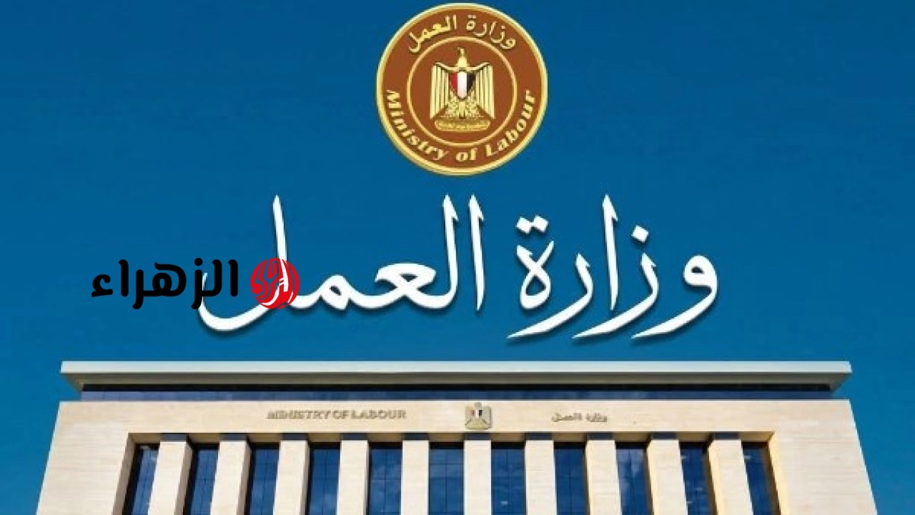 مديرية القوى العاملة تعلن توفير 77 فرصة عمل في بورسعيد براتب يبدأ من 8500 جنيه