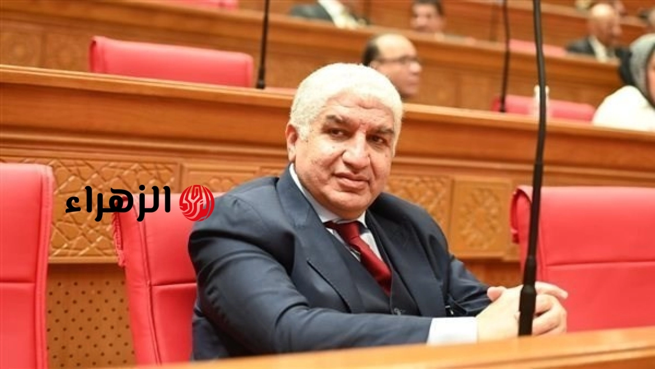 مصر تعزز حضورها الإقليمي في إفريقيا وتواصل التعاون مع دول القارة بمناسبة يوم إفريقيا