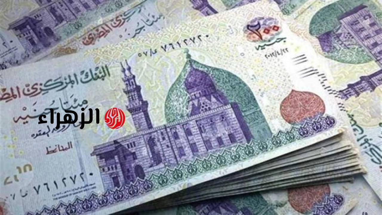 عاجل.. صرف مكافأة 1500 جنيه لجميع العاملين بهذه الجهة | قرار رسمي وينفذ فورًا
