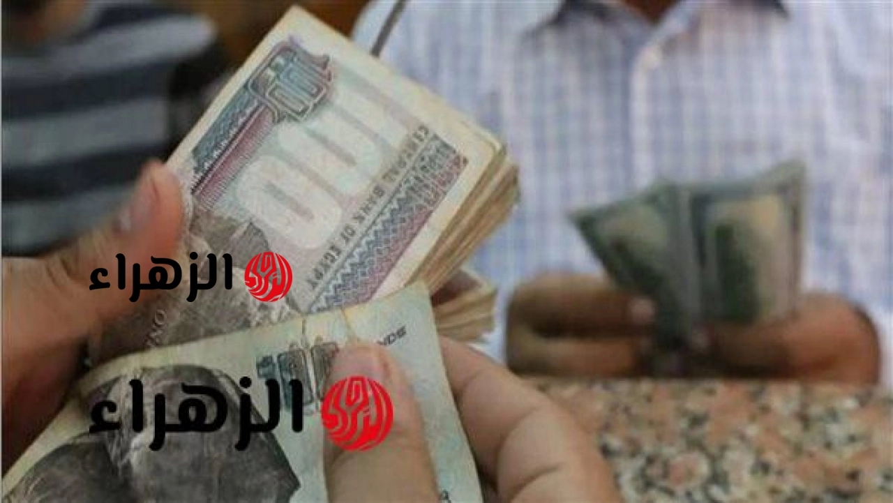 مبروك عليكم.. منحة 4500 جنيه من الحكومة لهذه الفئات.. هل انت منهم؟