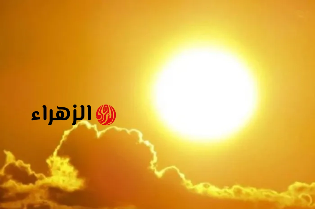لسكان الدور الأخير.. حلول سحرية لحماية شقتك من الموجة الحارة