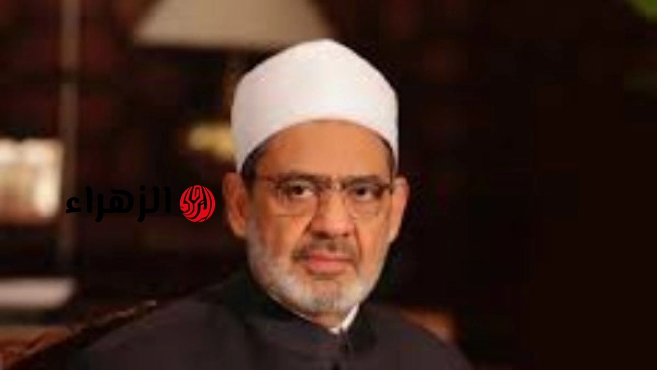نائب رئيس الوزراء يهنئ شيخ الأزهر بعيد الأضحى