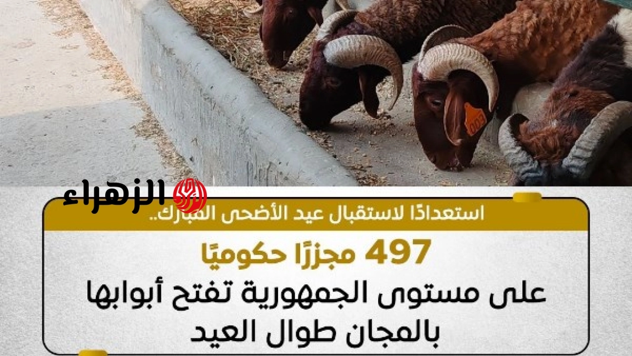 وزارة الزراعة تعلن ضوابط شراء اللحوم وتوضح مخاطر التعامل عبر مواقع التواصل الاجتماعي