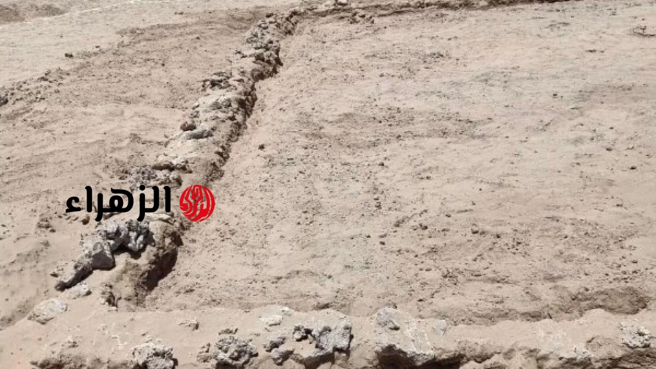 وزارة السياحة والآثار تعلن الكشف عن صهاريج مياه ومنشآت خدمية بميناء عيذاب الأثري في حلايب