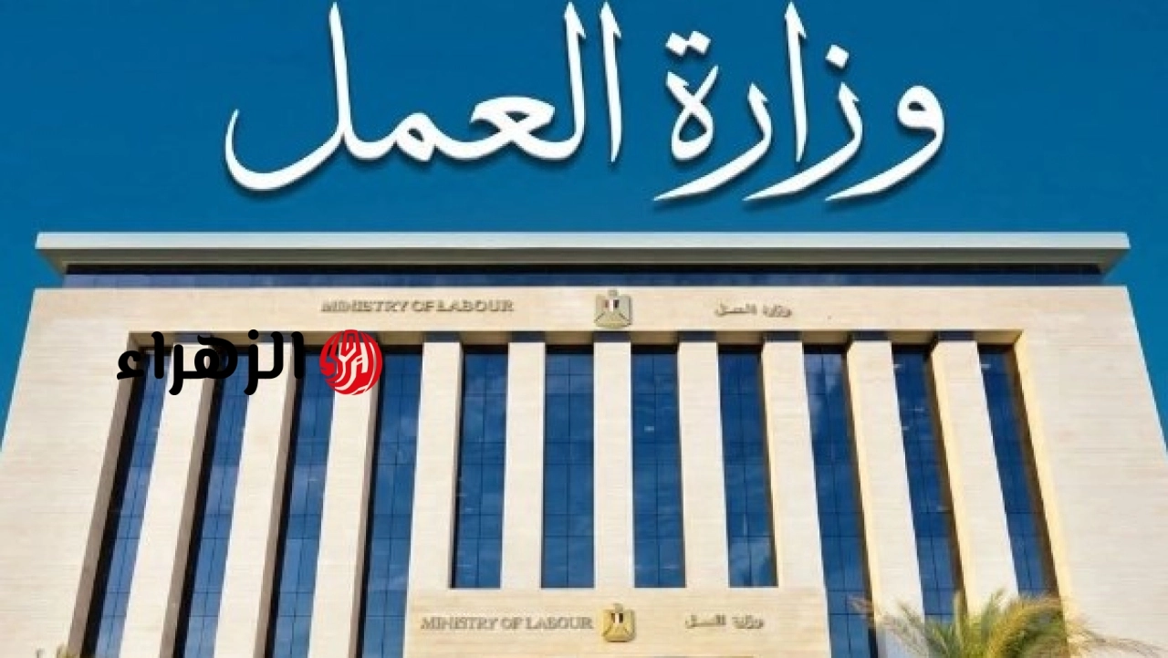 وزارة العمل تعلن عن 77 فرصة عمل برواتب تبدأ من 8500 جنيه في شركة قطاع خاص ببورسعيد