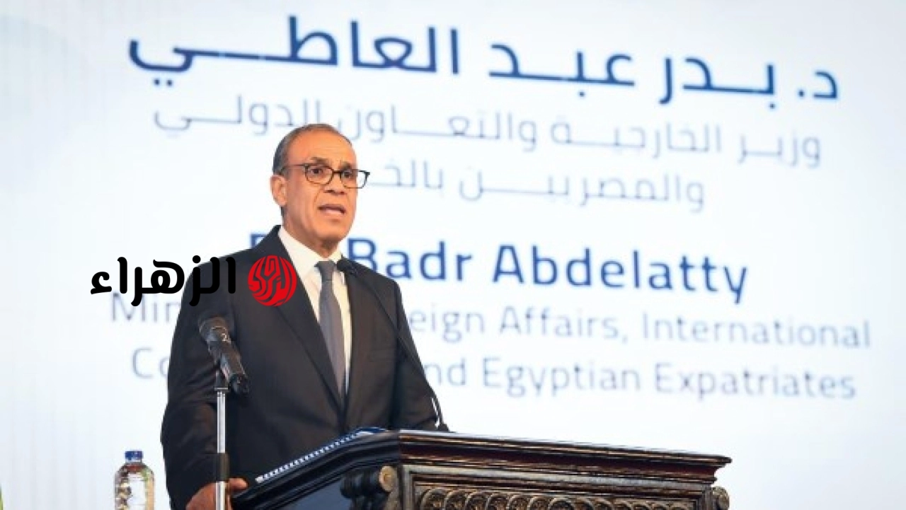 وزير الخارجية يعلن البعد والهوية الأفريقية ركيزتان أساسيتان في السياسة الخارجية المصرية
