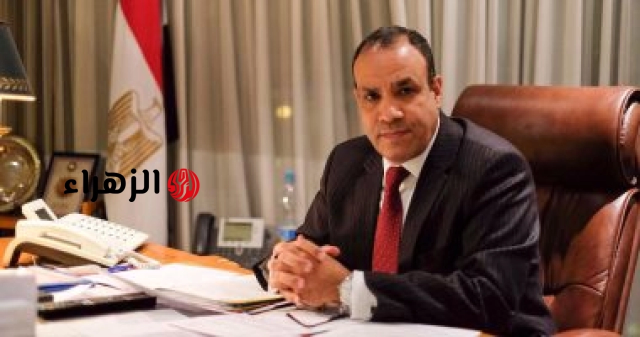 وزير الخارجية يعلن تشكيل روابط حضارية وإنسانية عميقة بين مصر والدول الإفريقية ووحدة في المصير