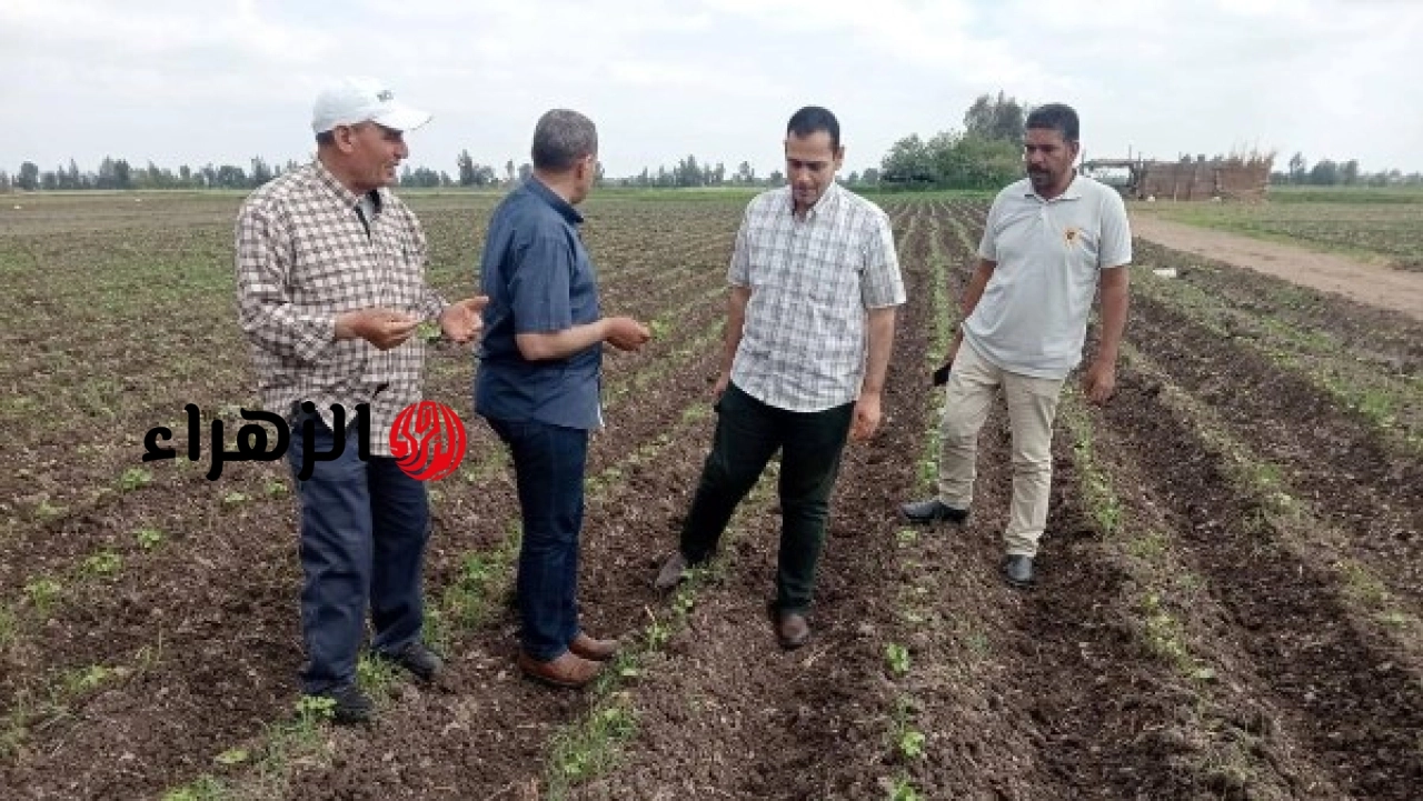 وزير الزراعة يعلن إزالة 90 حالة تعد وذبح 21 ألف أضحية خلال جولات بالمحافظات في العيد