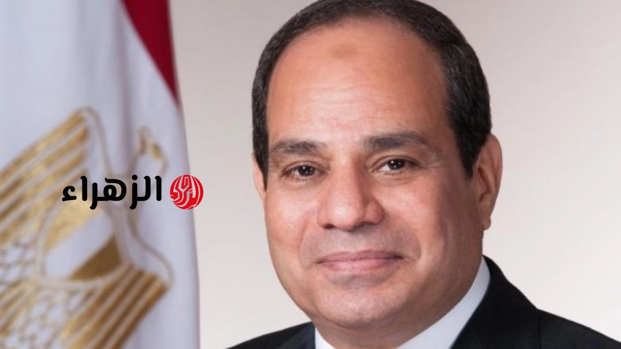 وزيرة التنمية المحلية تهنئ الرئيس عبد الفتاح السيسي ورئيس الوزراء وشيخ الأزهر بمناسبة عيد الأضحى