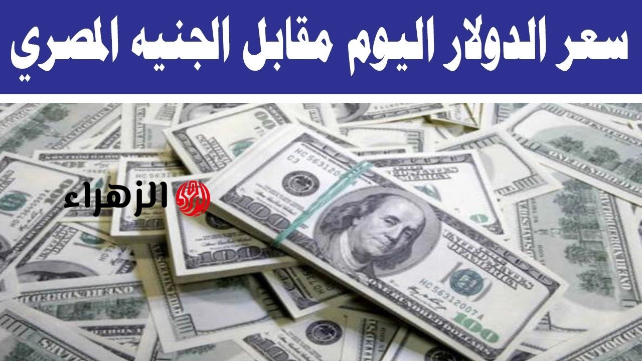 الدولار يعاود الصعود أمام الجنيه المصري في تعاملات اليوم الثلاثاء 12 مايو 2026