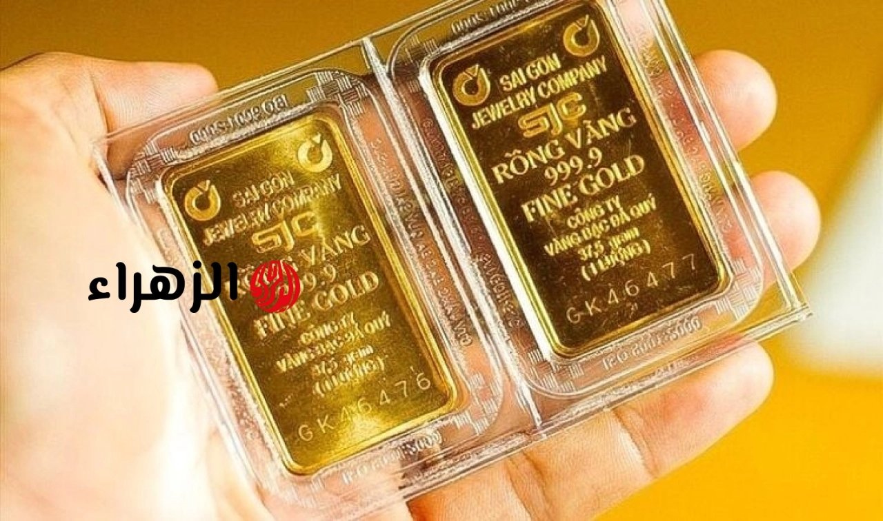 أسعار الذهب اليوم (15 يونيو): خسر مشتري سبائك الذهب أكثر من 6 ملايين دونغ فيتنامي للأونصة بعد أسبوع واحد. | الزهراء