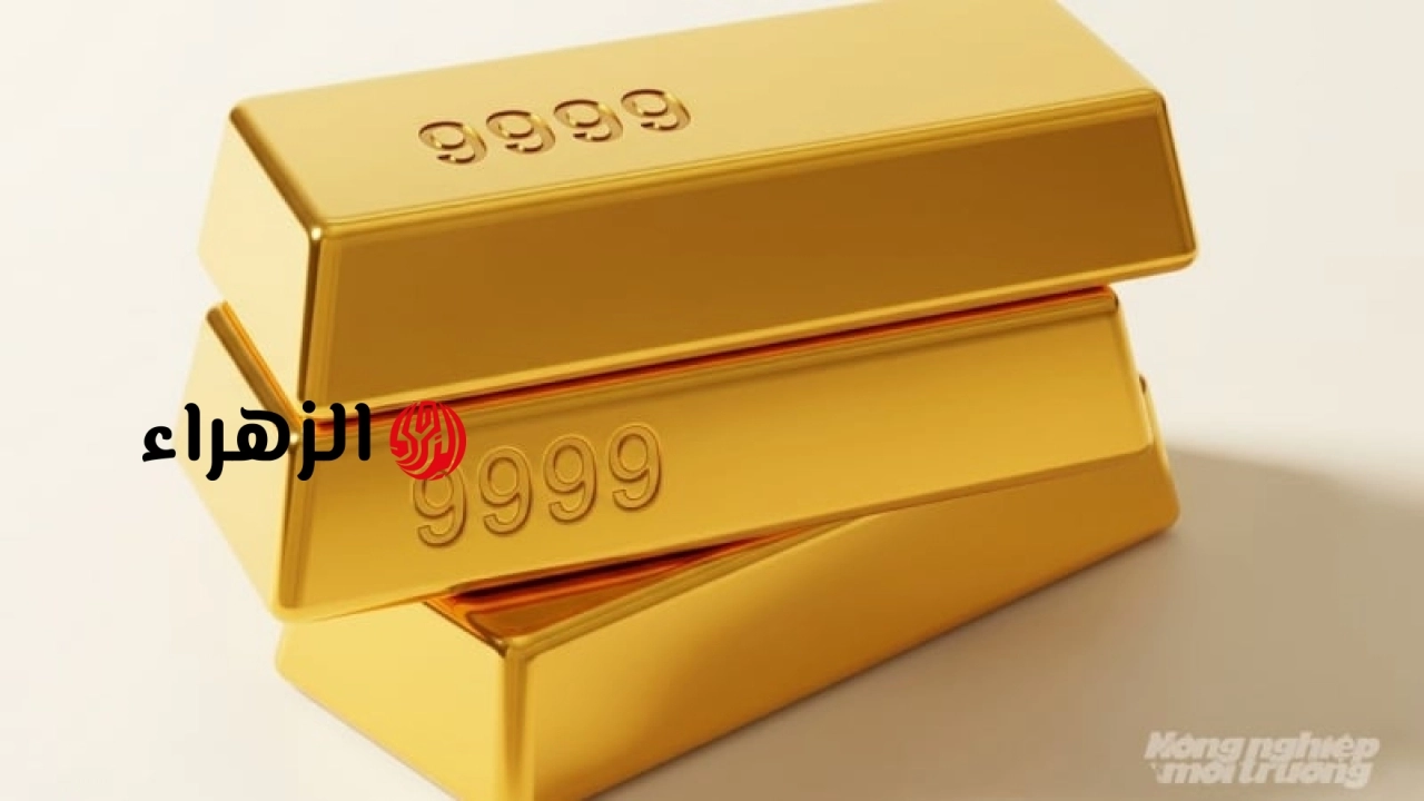 ما هي التوقعات لأسعار الذهب اليوم، 24 يونيو 2026: هل سترتفع أم تنخفض؟ | الزهراء