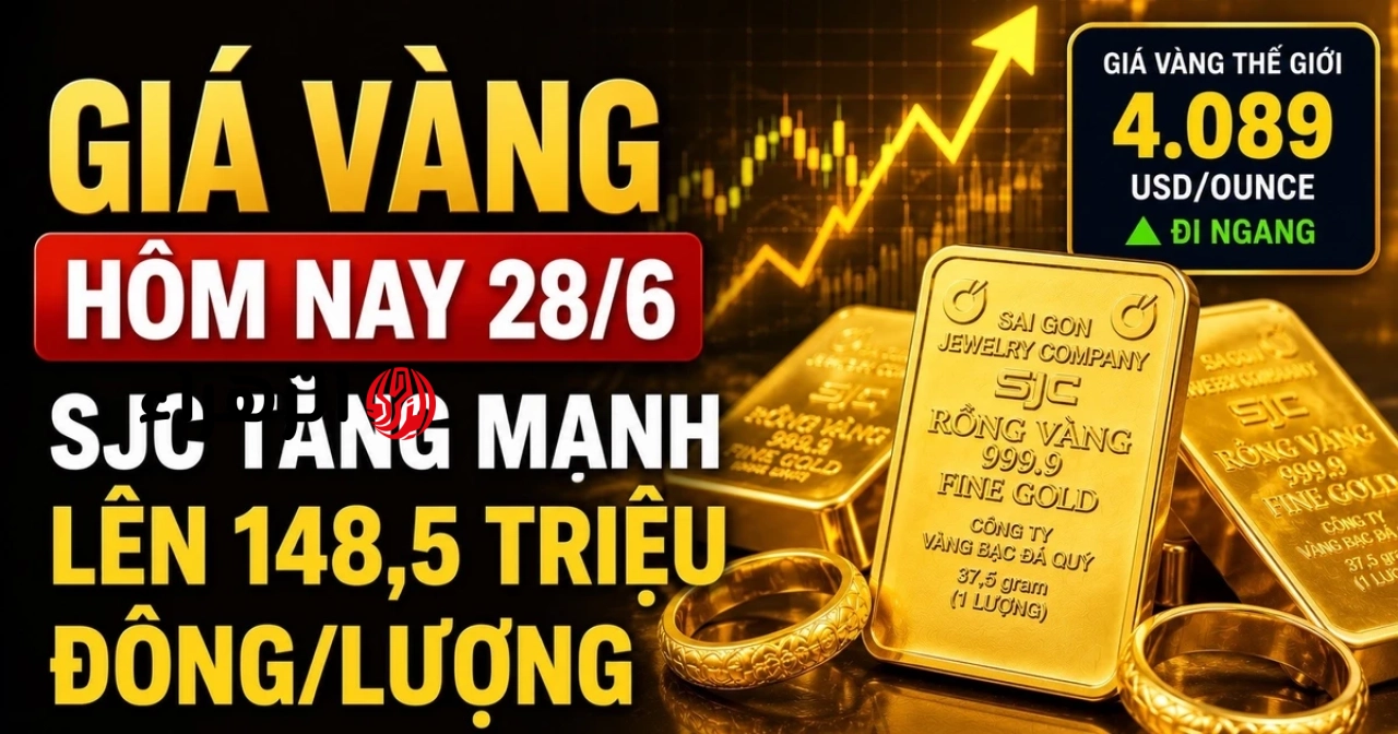 أسعار الذهب اليوم، 28 يونيو: ارتفعت أسعار الذهب في SJC وBTMC وDOJI وPNJ، بينما ظلت أسعار الذهب العالمية دون تغيير. | الزهراء