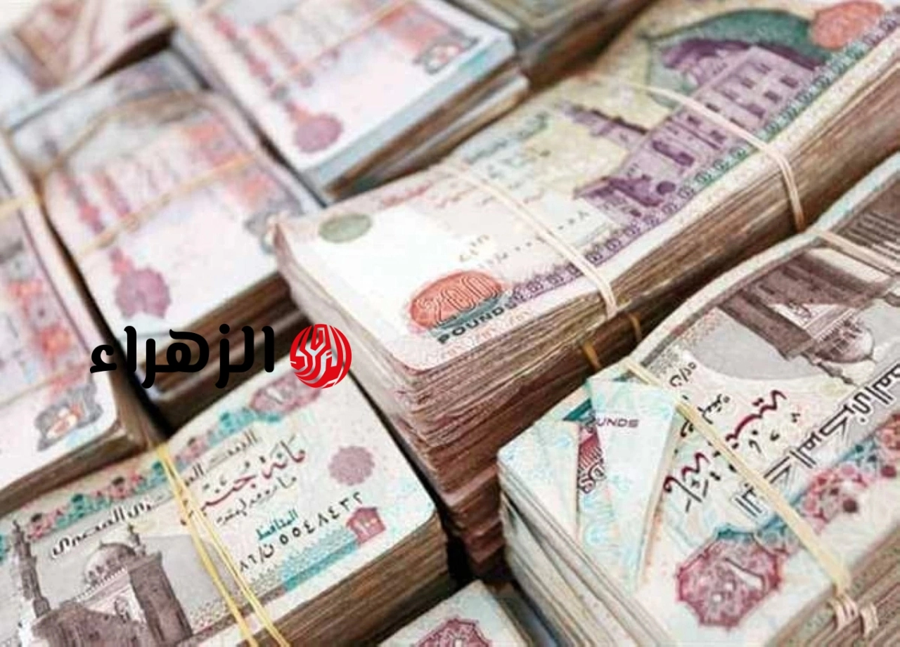 بحد أقصى 15%.. تفاصيل موعد تطبيق زيادة المعاشات ومطالب عاجلة بتعويض متضرري “السيستم”