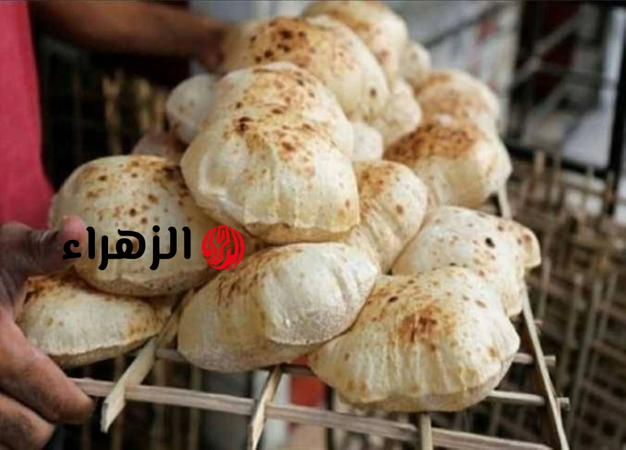هل يرتفع سعر الخبز المدعم؟ شعبة المخابز تحسم الجدل وتكشف ملامح المنظومة الجديدة