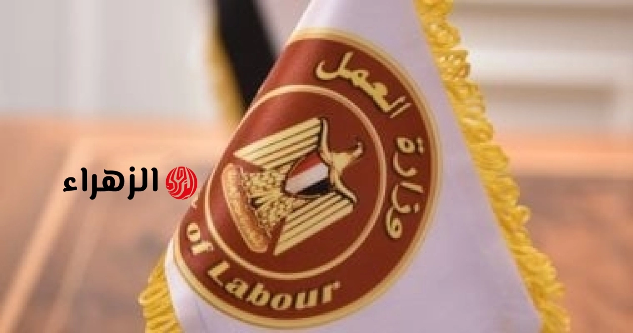 برواتب تصل لـ 9500 جنيه.. “العمل” تعلن توفير 450 فرصة بقطاع الأمن والحراسة