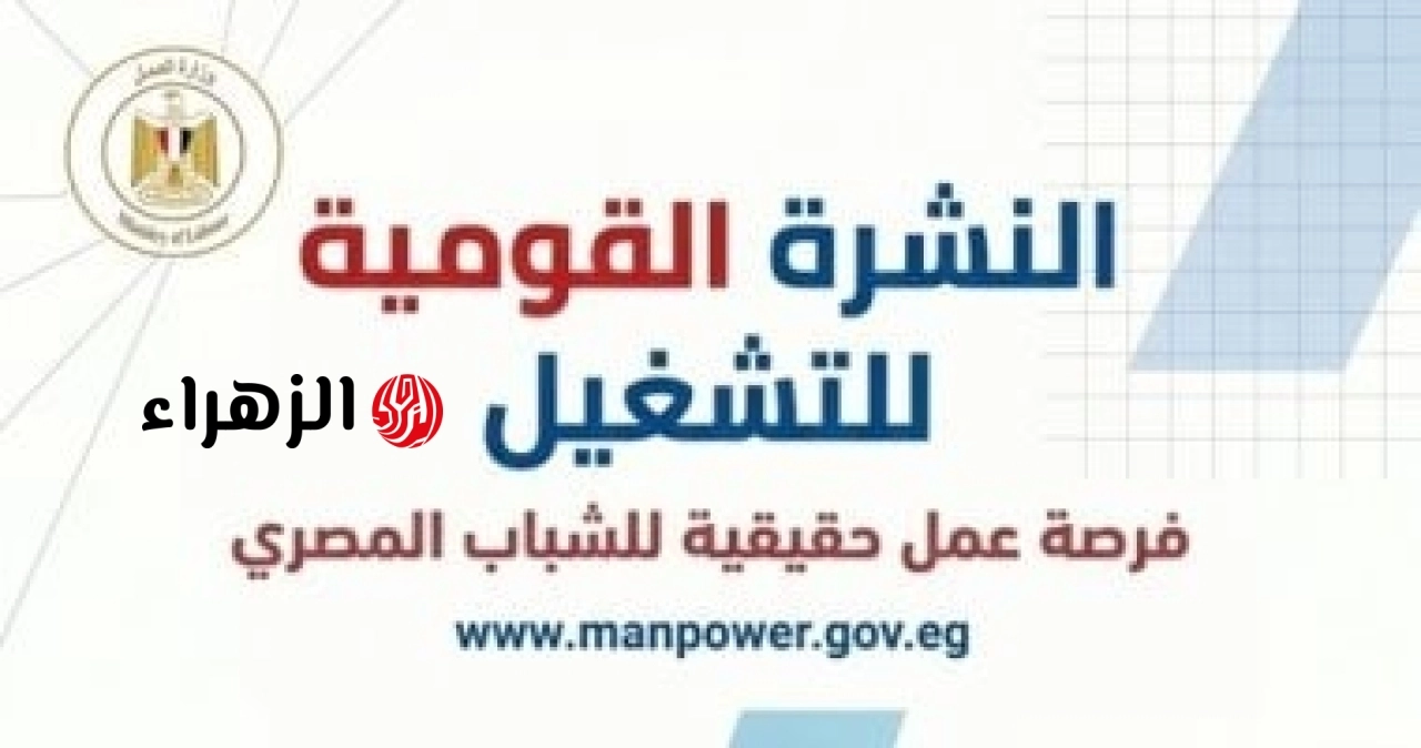 وزارة العمل تعلن توفير 1590 فرصة عمل في 11 محافظة.. تفاصيل وأماكن التقديم
