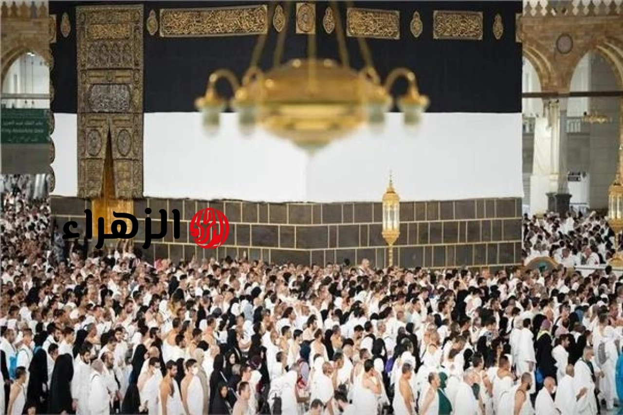 ضوابط العمرة.. تعليمات صارمة من غرفة السياحة بشأن تعاقدات الفنادق