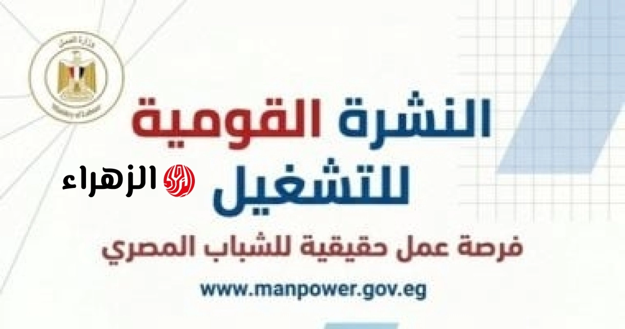 التقديم مستمر طوال يونيو.. وزارة العمل تعلن توفير 5132 وظيفة بـ 50 شركة في 11 محافظة