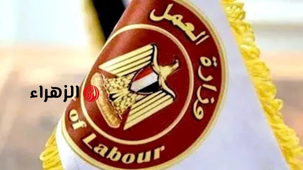 وزارة العمل تعلن توافر 7781 فرصة عمل بالقطاع الخاص في 11 محافظة.. تعرف على التخصصات