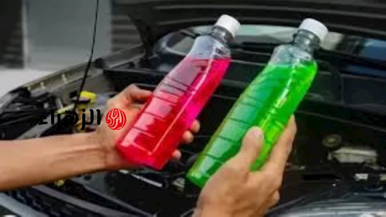 أيهما أفضل.. ما الفرق بين المياه الخضراء والحمراء المخصصة لردياتير السيارات؟