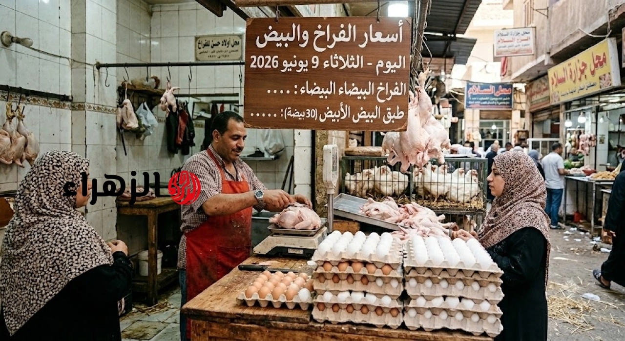 استمرار تراجع الأسعار.. أسعار الفراخ البيضاء والساسو وطبق البيض اليوم الثلاثاء 9 يونيو