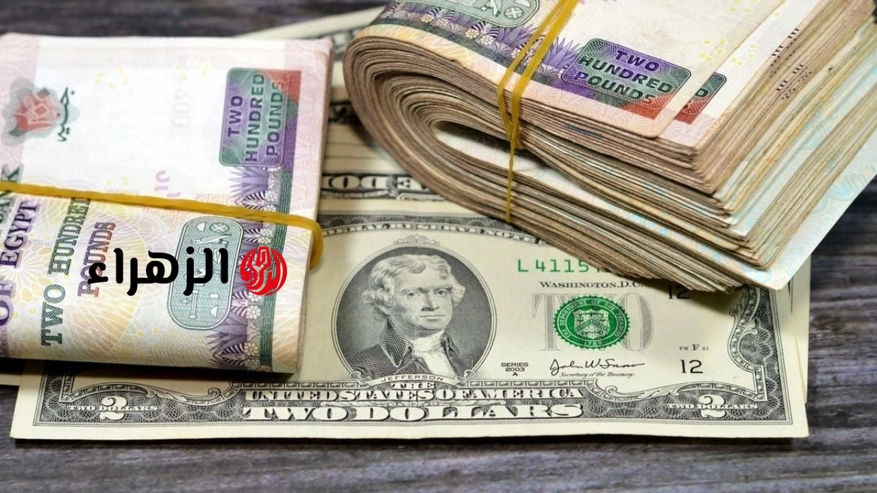 بعد الهبوط الكبير.. مفاجأة جديدة في سعر صرف الدولار أمام الجنيه داخل البنوك