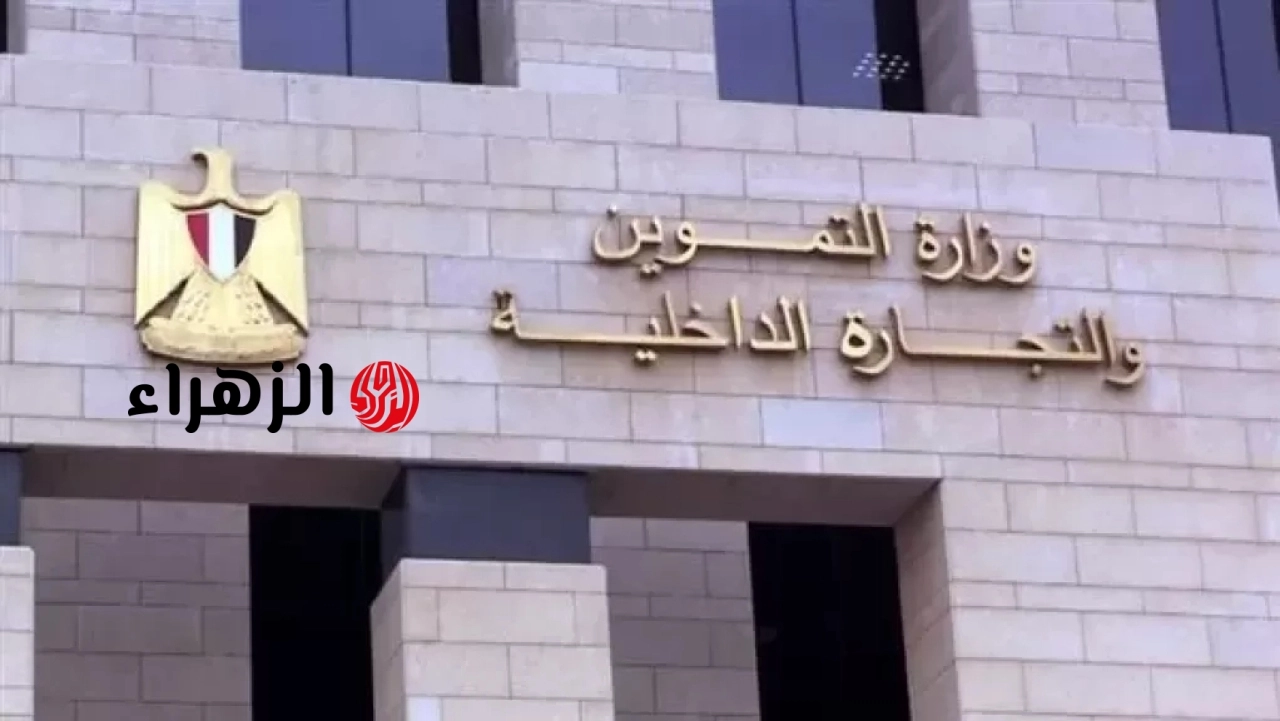 التموين تعلن تفاصيل “السلة الغذائية” في منظومة الدعم النقدي الجديدة