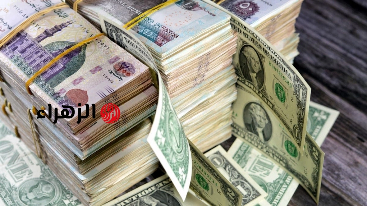 سعر الدولار يتراجع قرابة 95 قرشا مقابل الجنيه فى البنوك الآن