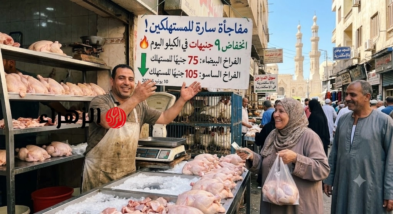 مفاجأة للمستهلكين.. هبوط حاد بأسعار الدواجن اليوم الأربعاء وتراجع الكيلو 9 جنيهات بالأسواق