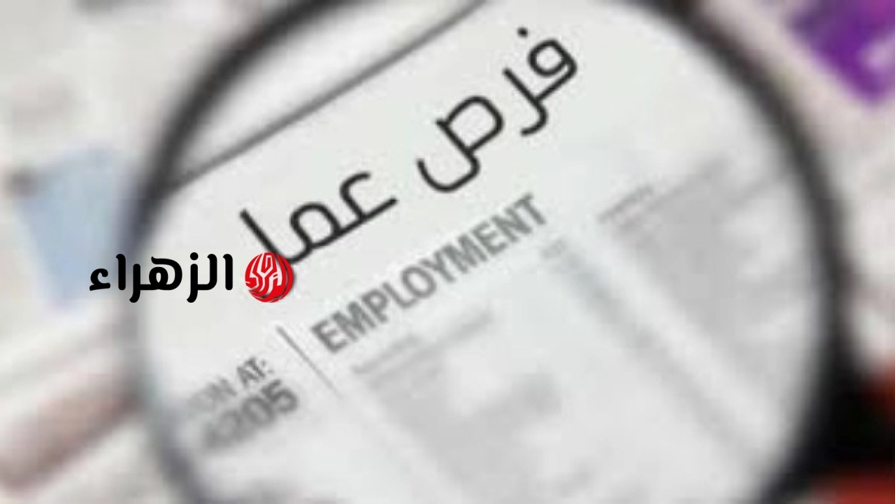 بمرتبات تصل لـ 25 ألف جنيه.. وزارة العمل تعلن عن فرص وظيفية جديدة للمؤهلات العليا والمتوسطة