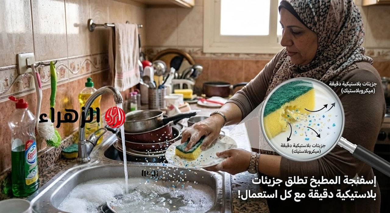 كارثة صحية في مطبخك.. إسفنجة غسيل الأطباق تطلق جزيئات بلاستيكية دقيقة مع كل استخدام
