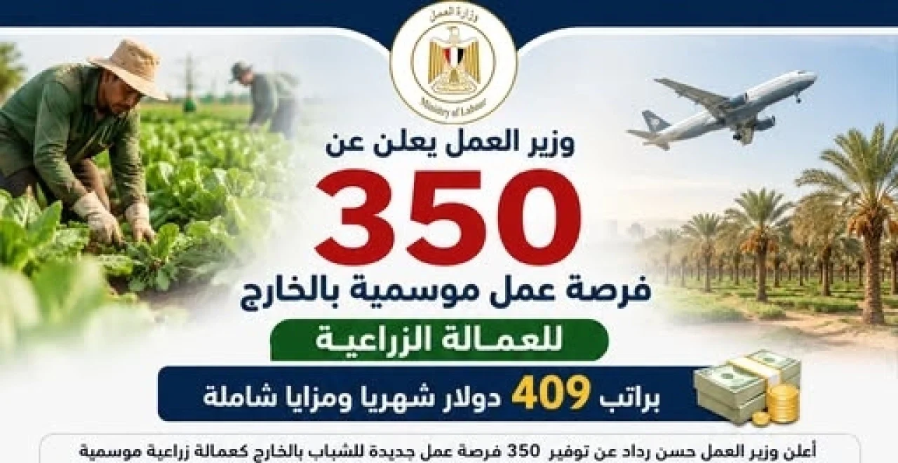 فرص عمل للمصريين في الخارج.. “العمل” تعلن 350 وظيفة زراعية براتب بالدولار ومزايا متكاملة