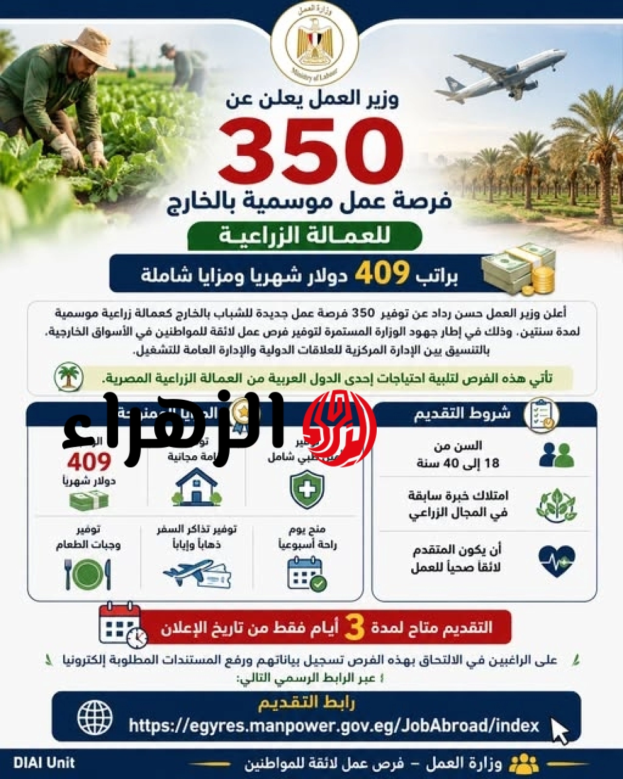 فرص عمل للمصريين في الخارج.. "العمل" تعلن 350 وظيفة زراعية براتب بالدولار ومزايا متكاملة 6 726988885 3383277898497485 89358