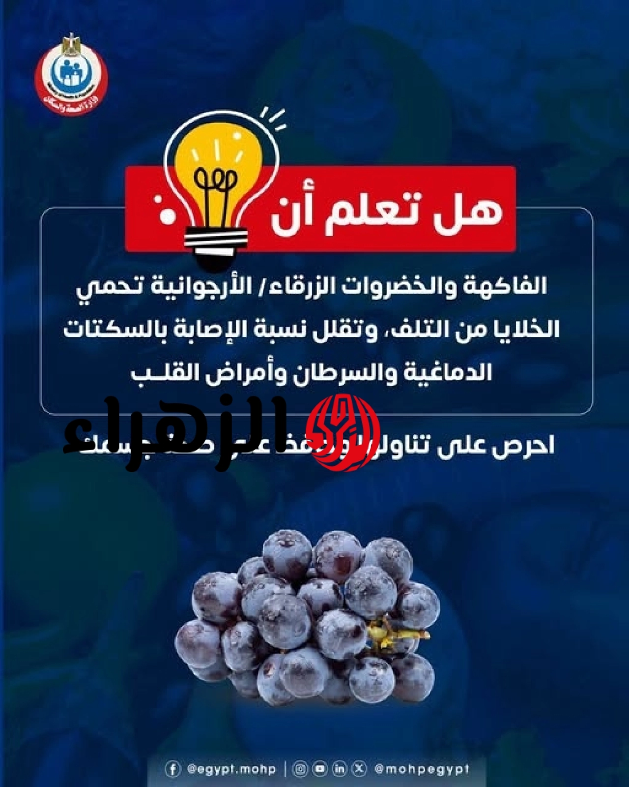 الصحة تكشف فوائد الفواكه والخضروات الزرقاء للوقاية من السرطان وأمراض القلب 6 727497575 1439007464930930 63244