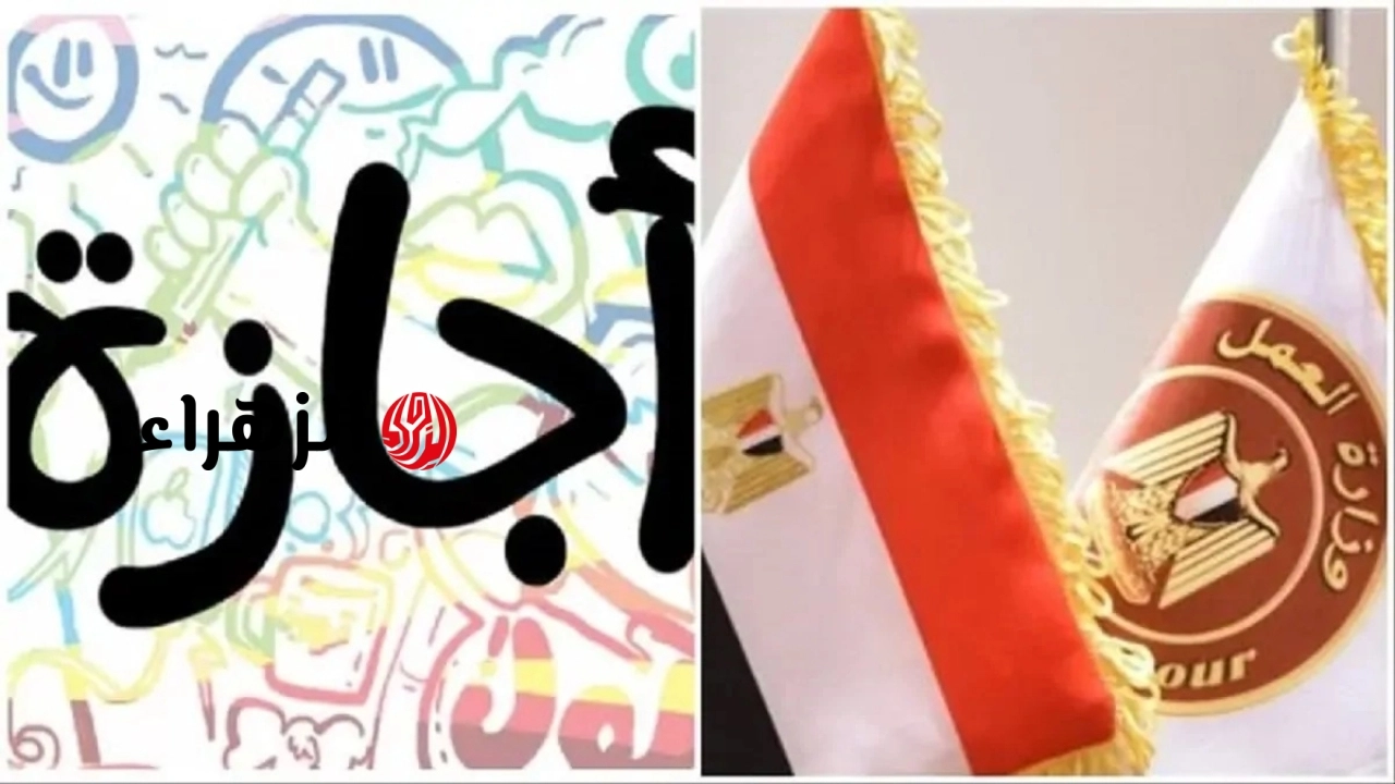 موعد إجازة ثورة 30 يونيو 2026 للموظفين رسميًا.. مدفوعة الأجر