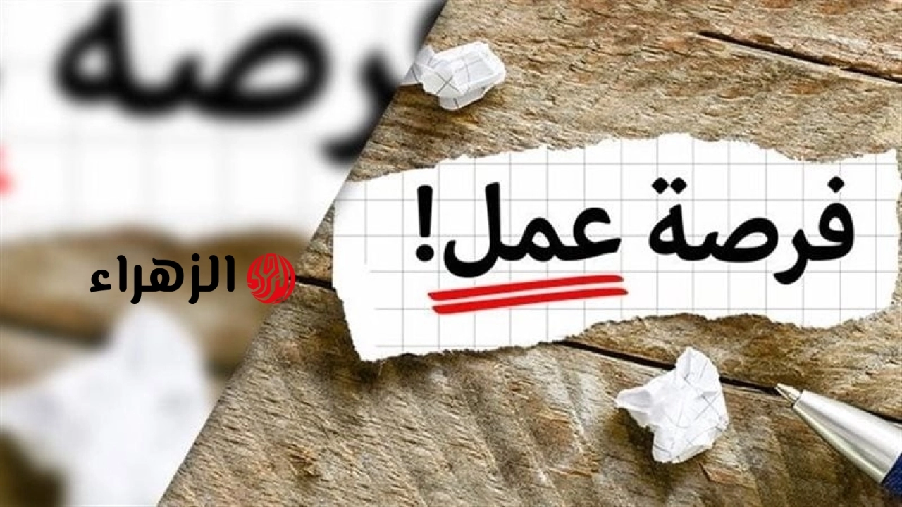 وزارة العمل تعلن توفير 4504 فرص عمل في 14 محافظة.. تفاصيل وأماكن التقديم