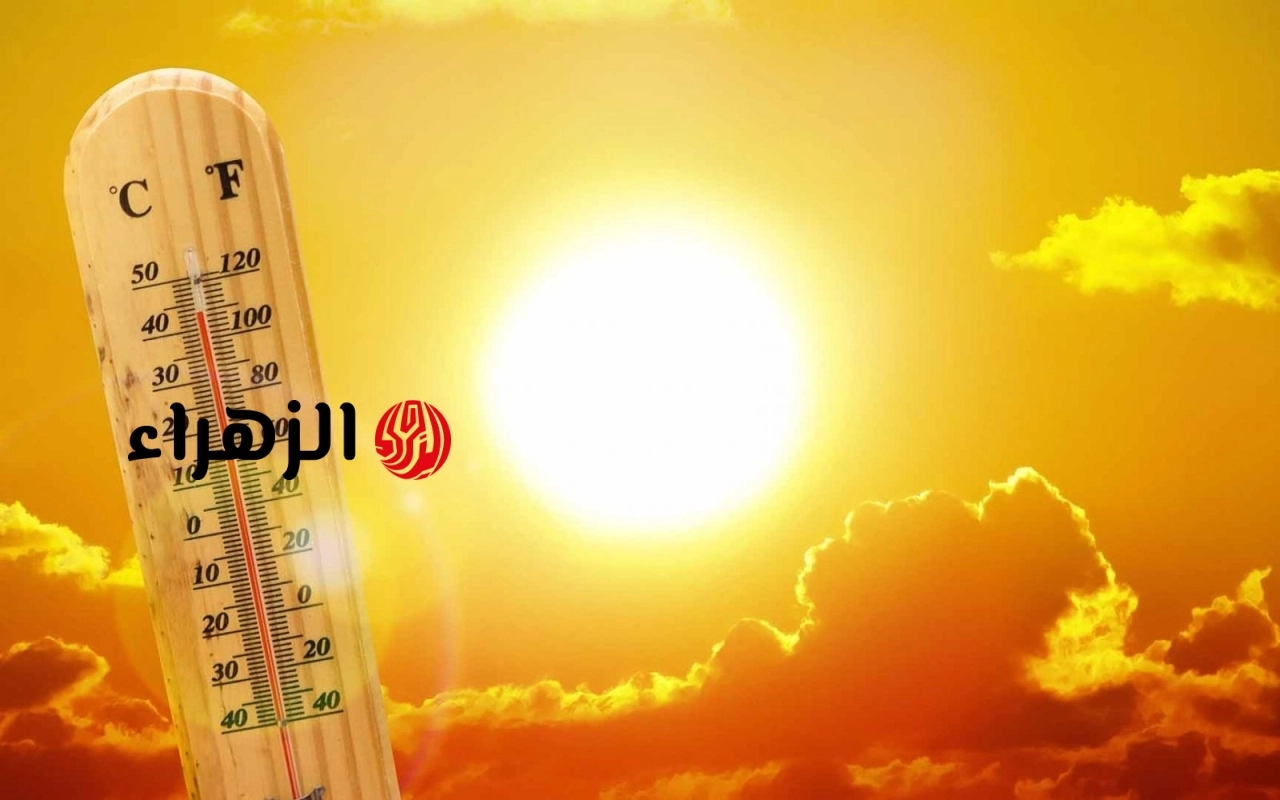 «44 درجة فى الظل».. الأرصاد تكشف المناطق الأكثر حرارة وحالة الطقس غدًا الأربعاء